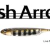 FISH ARROW FLASH J 5''