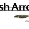 FISH ARROW FLASH  J  SW1''