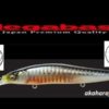 MEGABASS VISION ONETEN +1SW