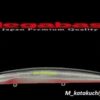 MEGABASS X-140 SW MEGABASS X-140 SW