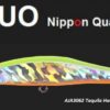 DUO LARUS MINNOW 95/34 DUO LARUS MINNOW 95/34