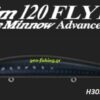 DUO TIDE MINNOW SLIM 120 FLYER