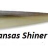 LUNKER CITY FIN-S FISH 4'' LUNKER CITY FIN-S FISH 4''