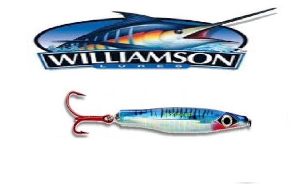 WILLIAMS0N GYRO JIG 50gr