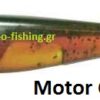 LUNKER CITY SWIMFISH 5''