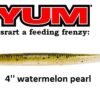 YUM SWIM'N DINGER 4''