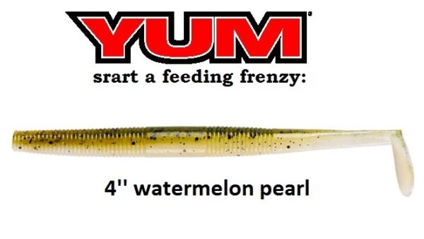YUM SWIM'N DINGER 4''