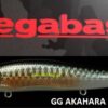 MEGABASS VISION ONETEN SW