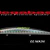 MEGABASS X-120 SW