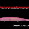 MEGABASS X-120 SW