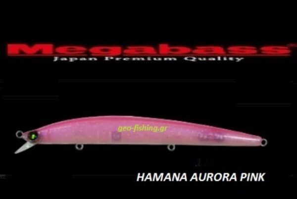 MEGABASS X-120 SW