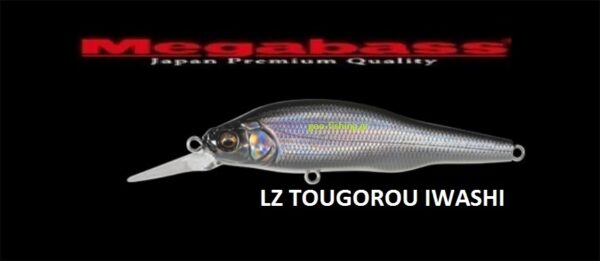 MEGABASS X 80 +1 SW MEGABASS X 80 +1 SW