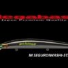 MEGABASS X-120 SW