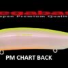 MEGABASS X 80 MAGNUM