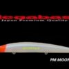 MEGABASS X-120 SW
