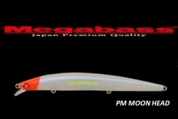 MEGABASS X-120 SW