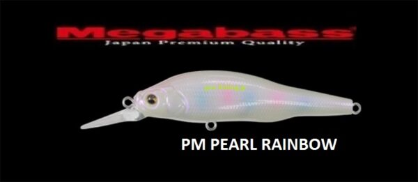 MEGABASS X 80 +1 SW MEGABASS X 80 +1 SW