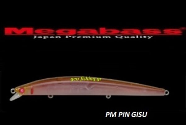 MEGABASS X-120 SW