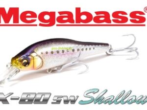 MEGABASS X 80 SHALLOW
