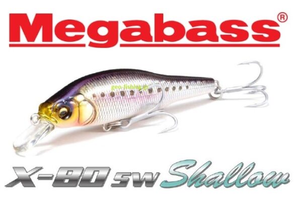 MEGABASS X 80 SHALLOW