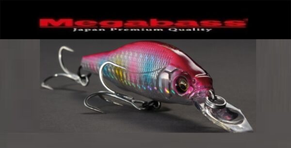 MEGABASS X 80 +1 SW MEGABASS X 80 +1 SW