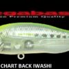 MEGABASS X 80 SW