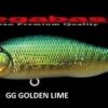 MEGABASS X 80 SW