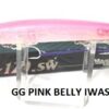 MEGABASS X-120 SW
