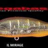 MEGABASS X 80 SW