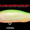 MEGABASS X 80 SW