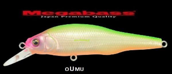 MEGABASS X 80 SW