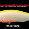 MEGABASS X 80 SW