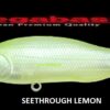 MEGABASS X 80 SW