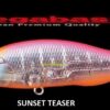 MEGABASS X 80 SW