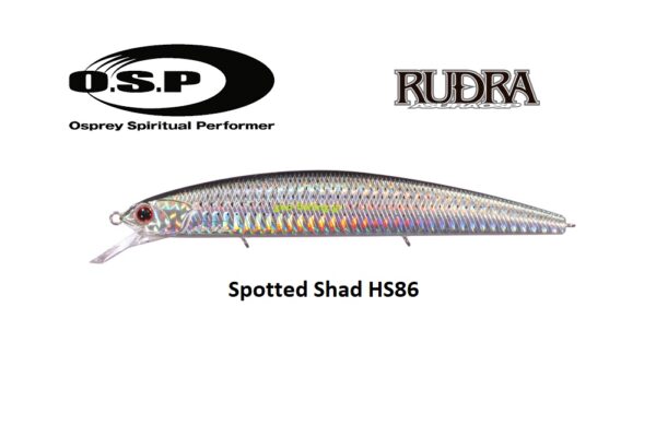 OSP RUNDRA 130SP SW OSP RUNDRA 130SP SW