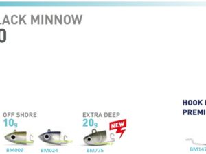 FiiiSH BLACK MINNOW JIGHEADS No2 FiiiSH BLACK MINNOW JIGHEADS No2