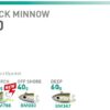 FiiiSH BLACK MINNOW JIGHEADS No4
