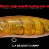 MEGABASS POPPING DUCK