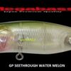 MEGABASS POPPING DUCK