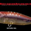 MEGABASS POPX SW