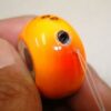 COH SURUSURU TAI RUBBER 80gr