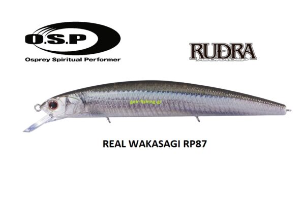 OSP RUNDRA SPEC2 130SF