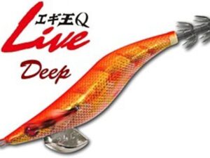 YAMASHITA Q LIVE 3.5 DEEP