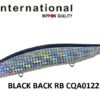 DUO REALIS JERKBAIT 120S SW DUO REALIS JERKBAIT 120S SW