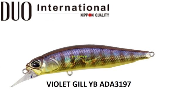 DUO REALIS ROZANTE 77SP