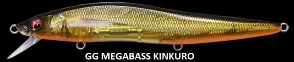 MEGABASS VISION ONETEN LBO