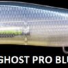 MEGABASS VISION ONETEN LBO