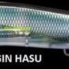 MEGABASS VISION ONETEN LBO