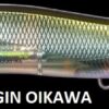 MEGABASS VISION ONETEN LBO