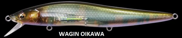 MEGABASS VISION ONETEN LBO